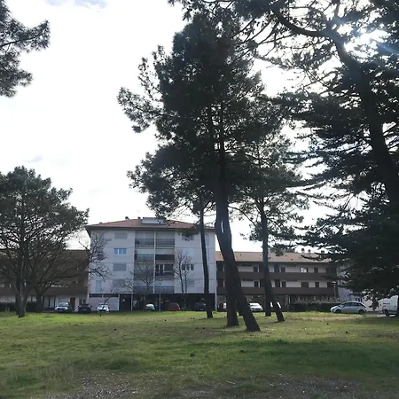 Apartamento La Forêt 5 *