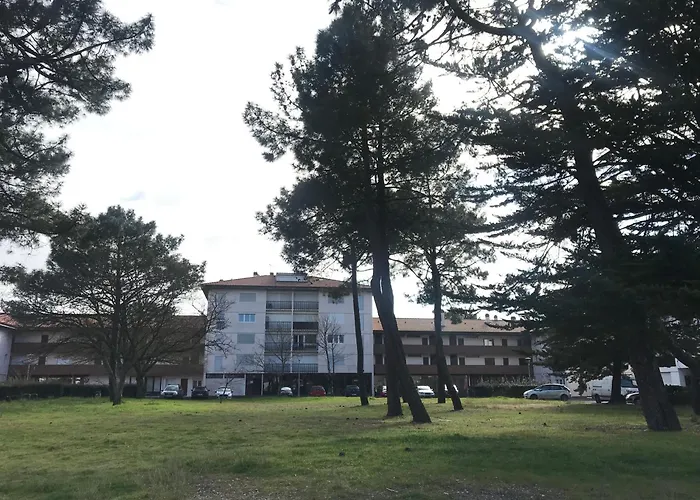 Lejlighed La Foret 5 *